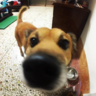 Jenny的 gravatar icon